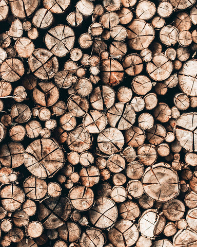 Pile of Wood Logs