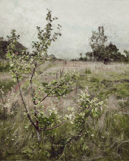 Unframed