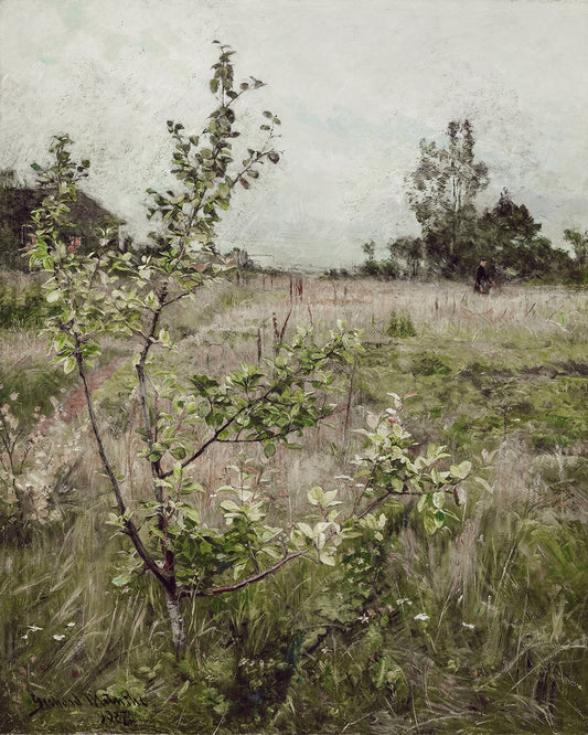 Unframed