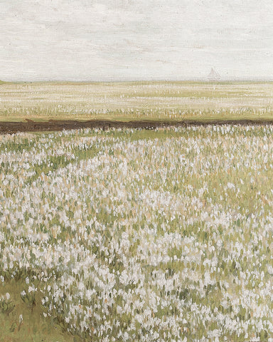 Spring Meadow