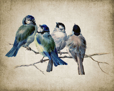 Blue Birds
