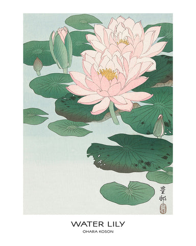 Ohara Koson - Water Lily No1