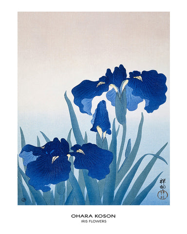 Ohara Koson - Iris Flower