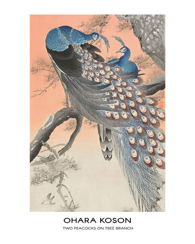 Ohara Koson - Two Peacocks on Tree Branch