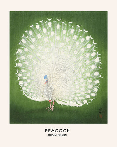 Ohara Koson - Peacock No1