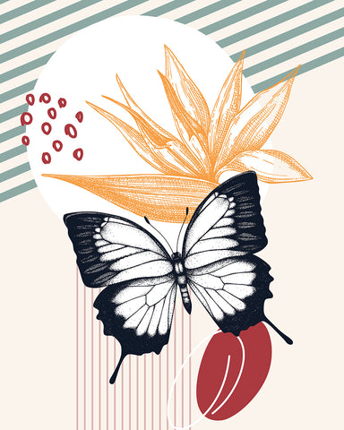 Black & White Butterfly