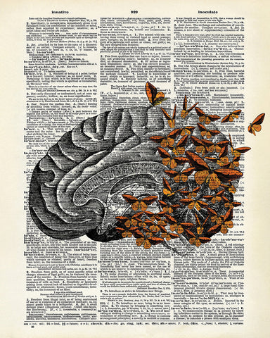 Brain and Butterflies No2