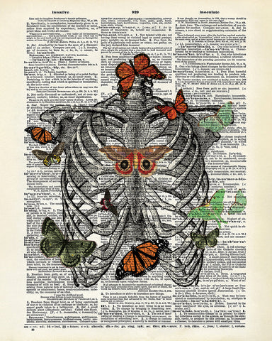 Butterflies and Ribcage No2