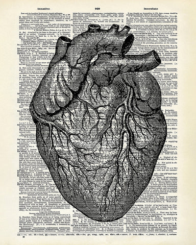 Anatomical Heart