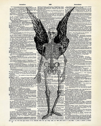 Winged Skeleton