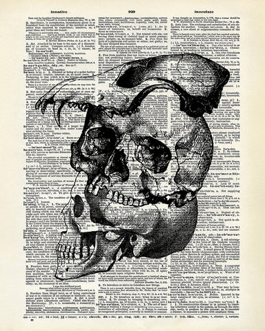 Layered Skull