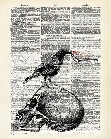 Raven on Skull