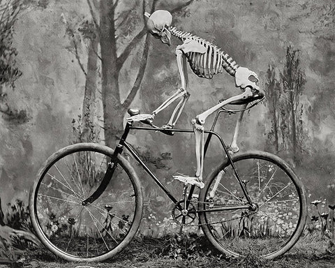 Skeleton on a Bike