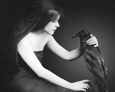 Black Raven