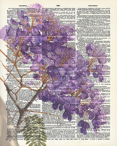 Jacaranda Watercolor