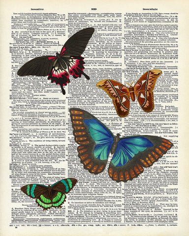 Rustic Butterflies