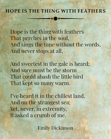 Hope is The Thing with Feathers