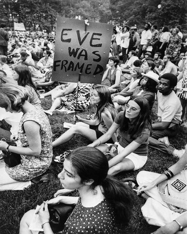 Eve Was Framed