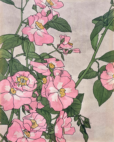 Hannah Borger Overbeck - Prairie Rose