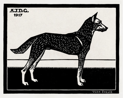 Black & White Dog