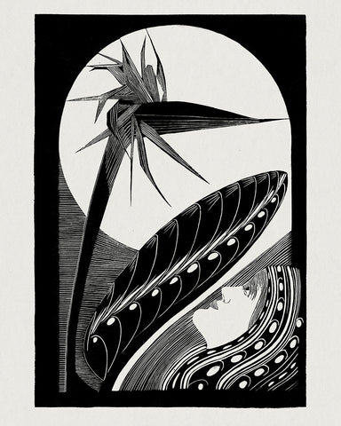 Strelitzia Overblown