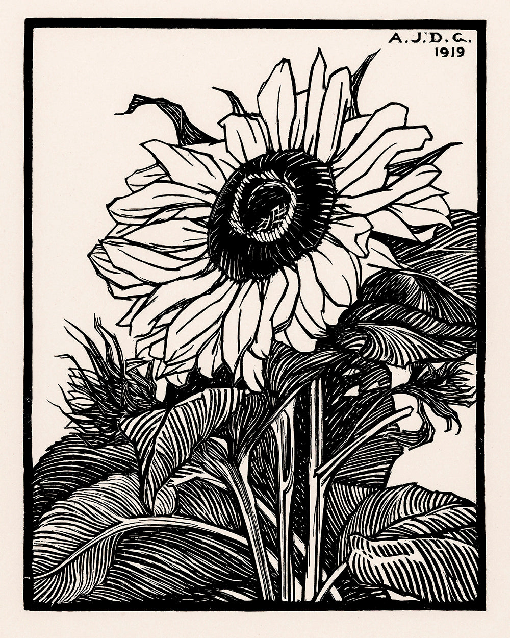Unframed