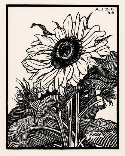 Unframed