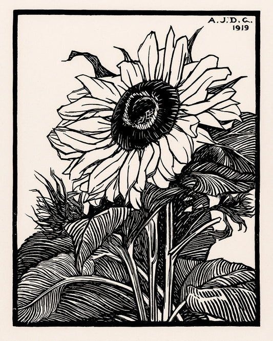 Unframed