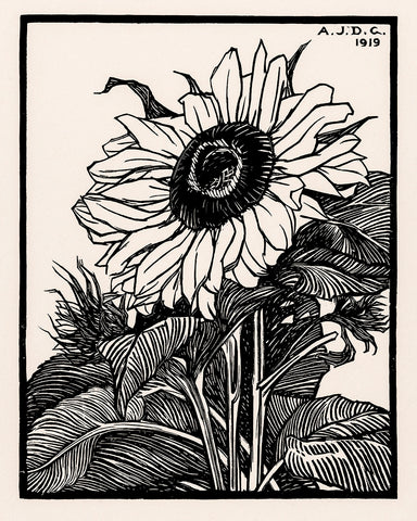 Julie De Graag - Sunflower