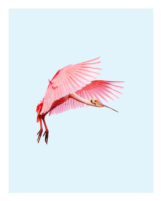Unframed