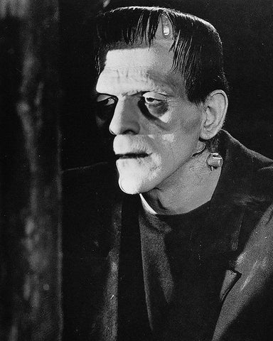 Frankenstein�s Monster No2