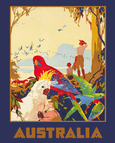 Australian Birds