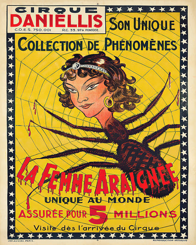 La Femme Araignee
