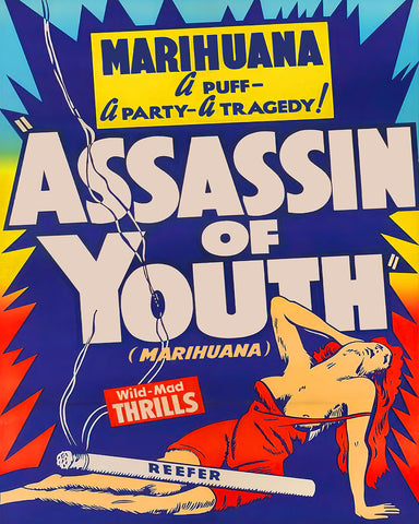 Assassin of Youth