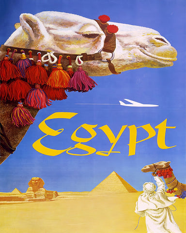 Camel in Desert