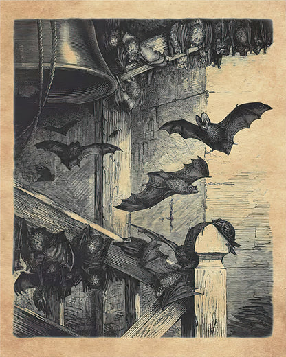 Bats In The Belfry