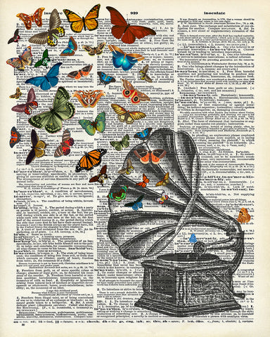 Phonograph and Butterflies