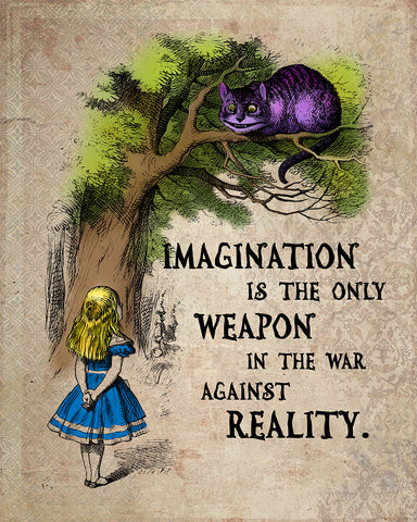 Imagination Is The Only Weapon Against Reality