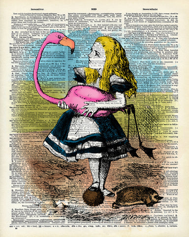 Alice and Flamingo