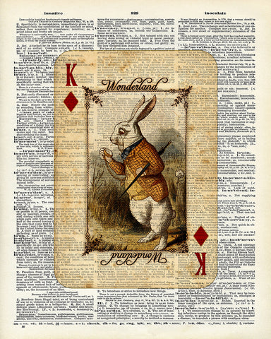 White Rabbit