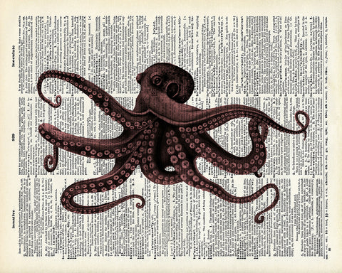 Brown Kraken