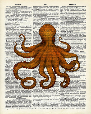 Orange Kraken