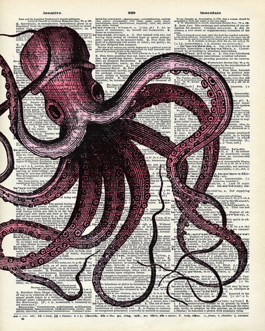 Pink Octopus