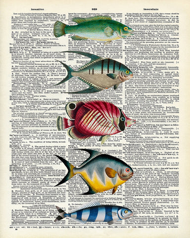 Fish Family