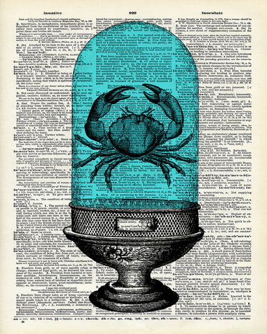 Crab in a Dome