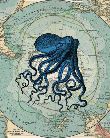 Antarctica Map and Blue Octopus
