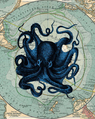 Antarctica Map and Blue Octopus No2
