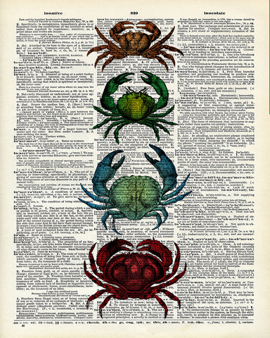 Crab Family