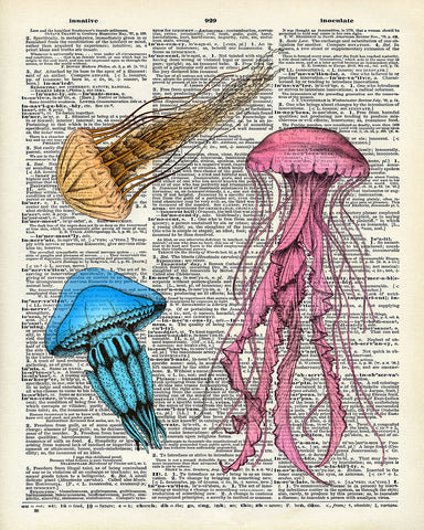 Jellyfish