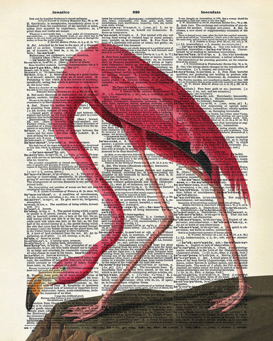 Pink Flamingo No3